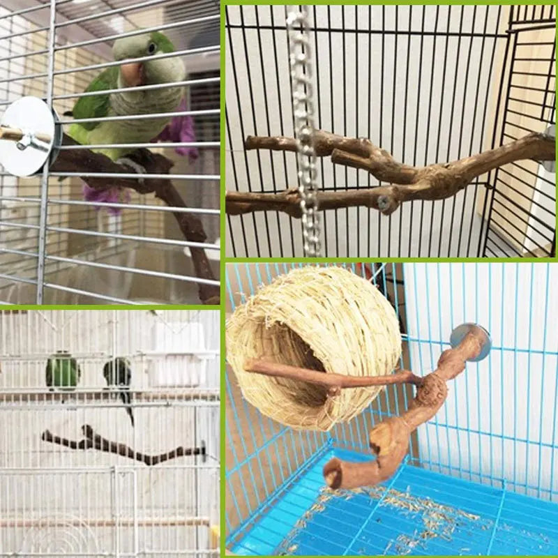 Natürlicher Traubenast als Sitzwarte für Cockatiels in verschiedenen Kontexten in einem Käfig