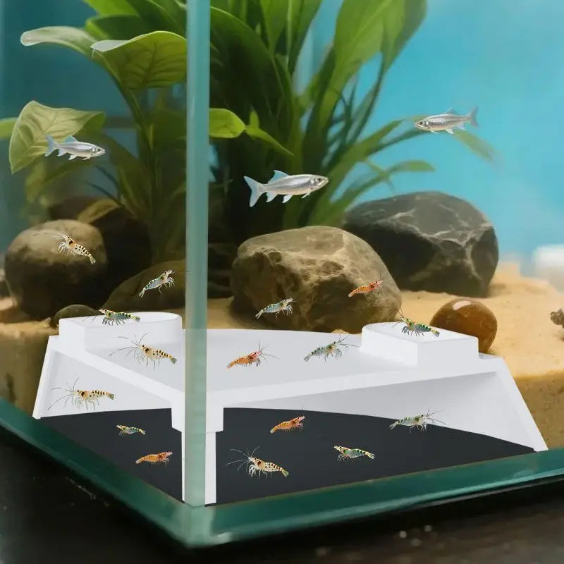 A clear acrylic tunnel hideout for fish and shrimp is visible inside a glass container with green plants and rocks.