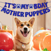 An adorable Shiba Inu dog wearing a collar sitting in front of colorful birthday party decorations.
