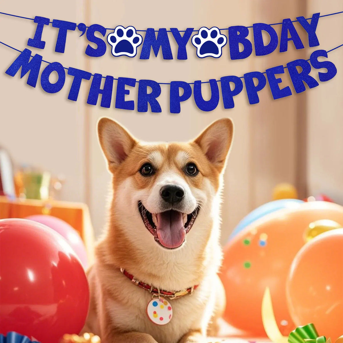 An adorable Shiba Inu dog wearing a collar sitting in front of colorful birthday party decorations.