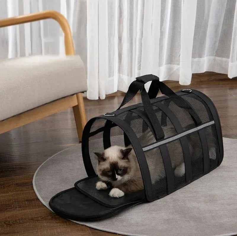 A tabby cat is sitting inside a black foldable mesh pet carrier with a shoulder strap on a gray mat.