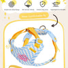 Striped Color-Block Dog Harness with Matching Leash