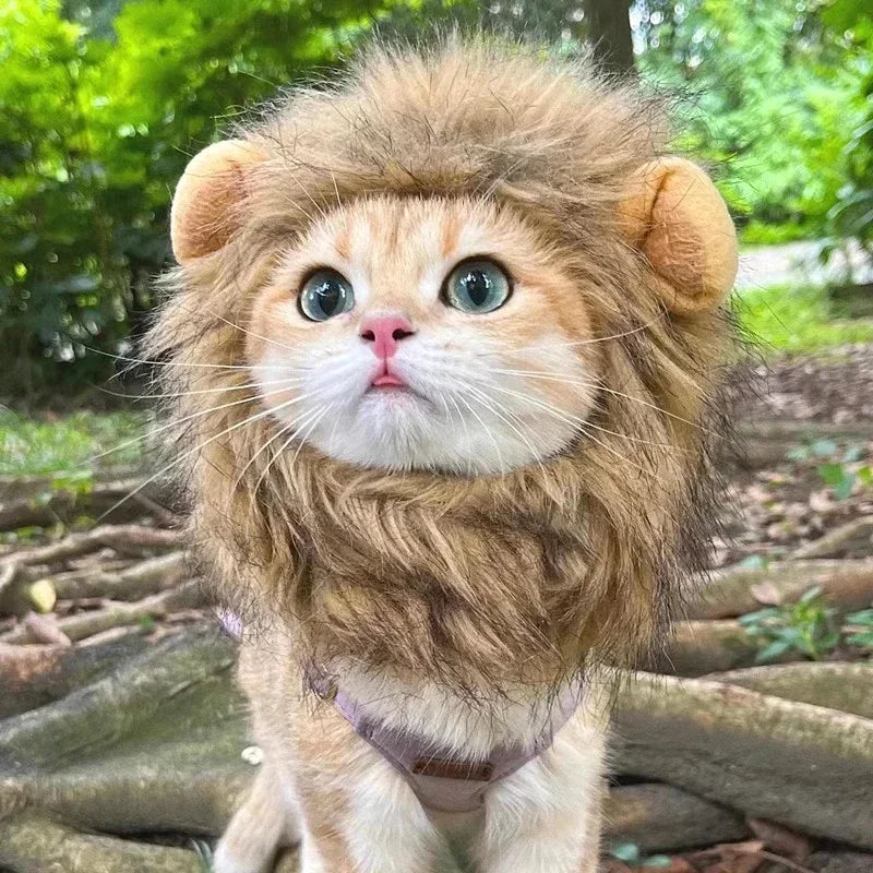 Sombrero de Melena de León para Mascotas