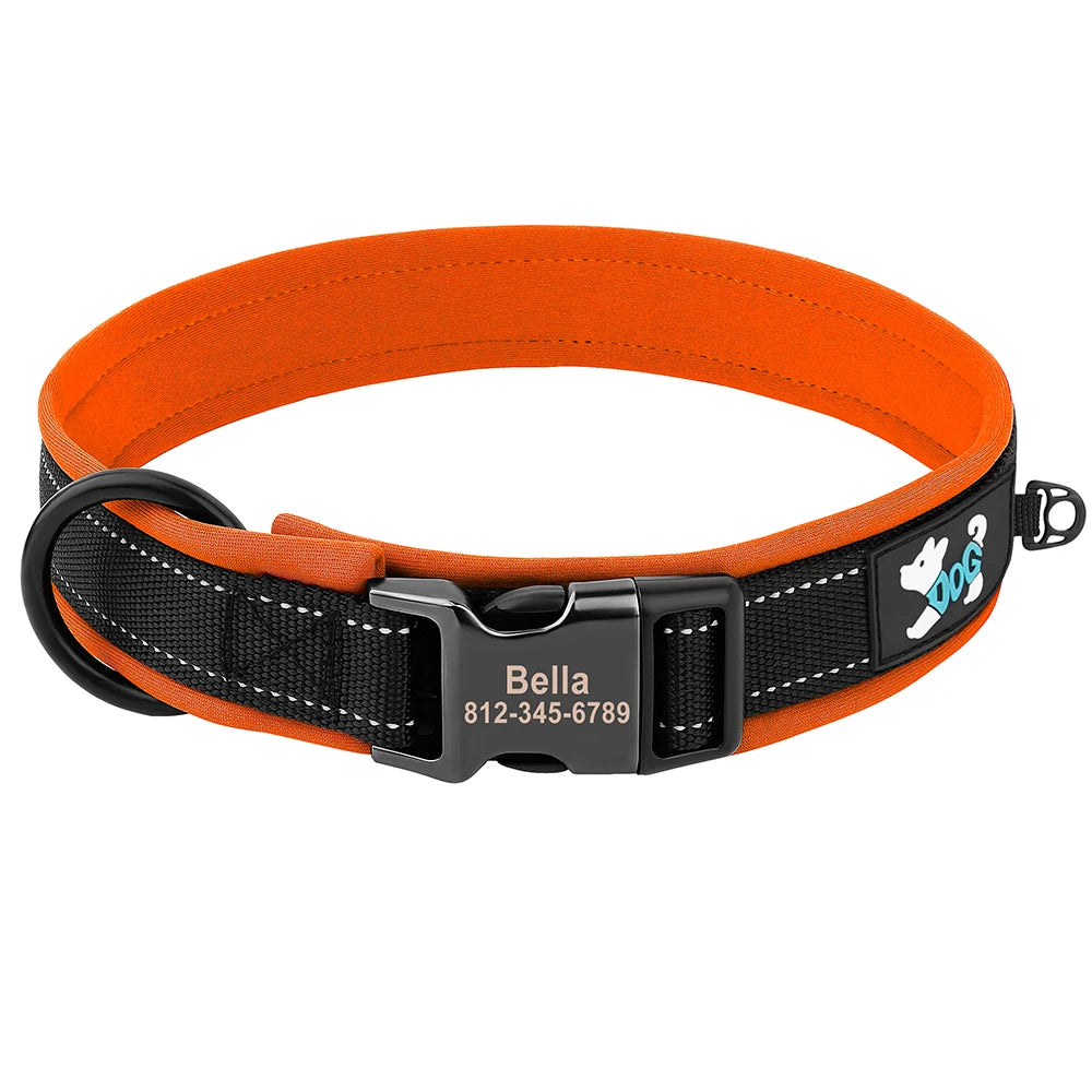 Orange dog collar with black strap and silver buckle featuring the name Bella engraved on the tag