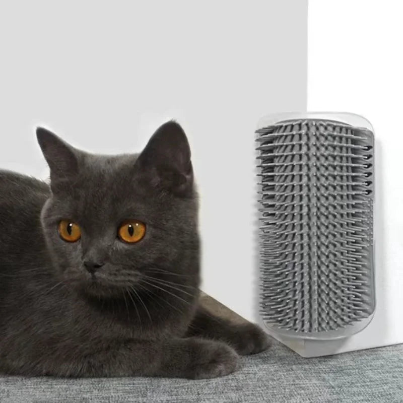 A gray cat is resting next to a silicone massage brush for hair removal.
