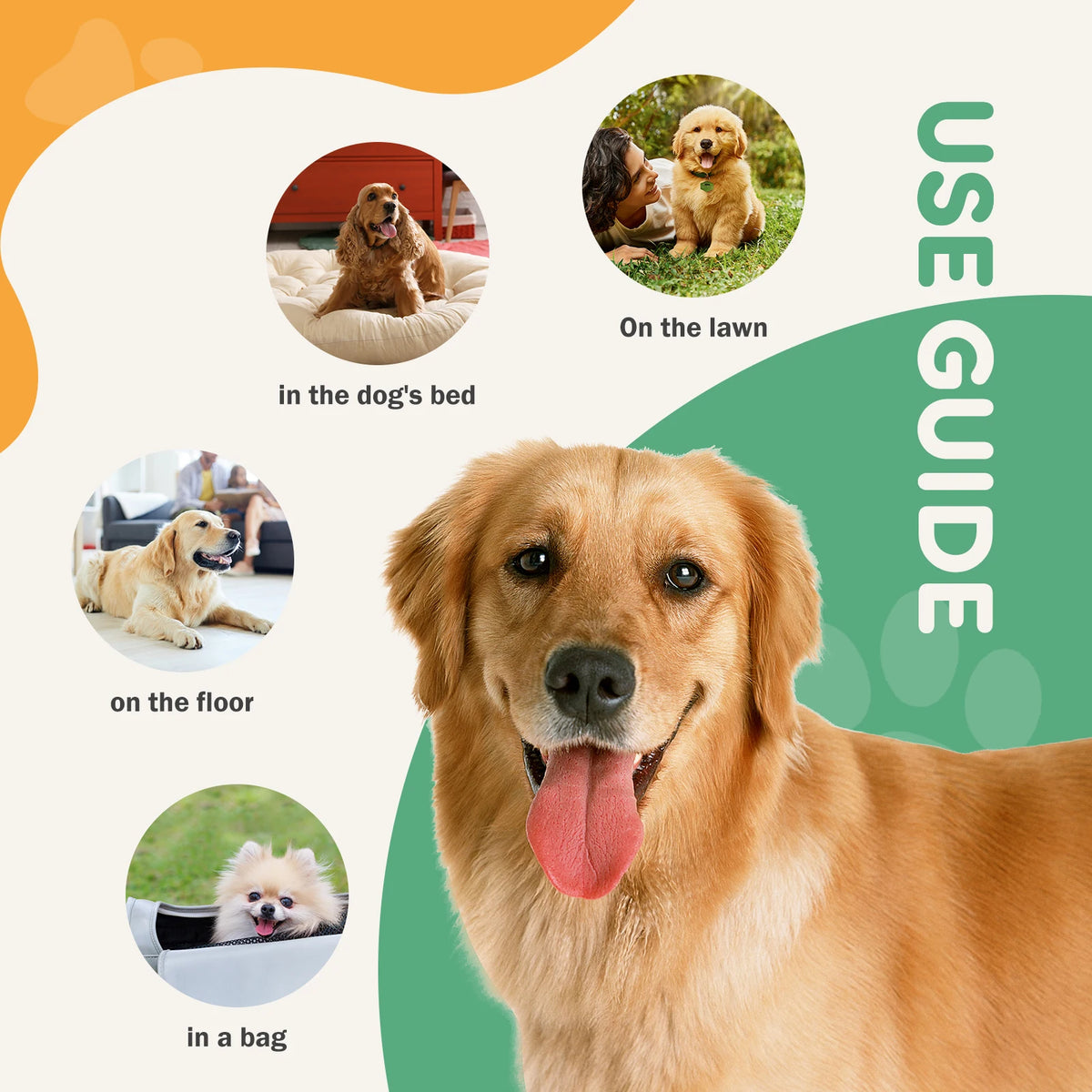 Super Absorbent Disposable Pet Training Pads, Leakproof and Quick-Drying (150 Count)