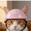 Hauskatze trägt einen rosa Tier-Sicherheitshelm mit schwarzen Riemen und einer schwarzen Fliege.