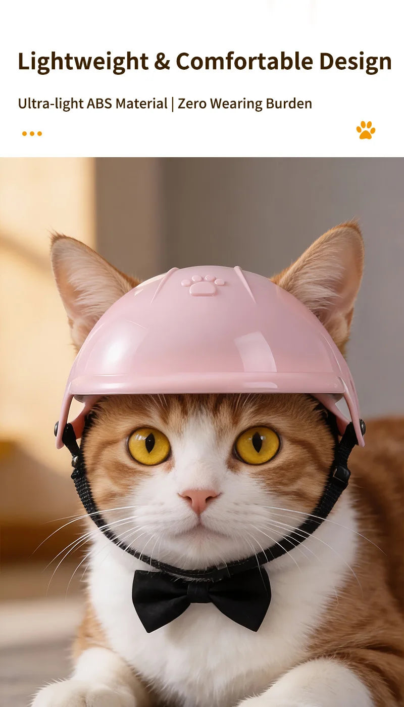Hauskatze trägt einen rosa Tier-Sicherheitshelm mit schwarzen Riemen und einer schwarzen Fliege.