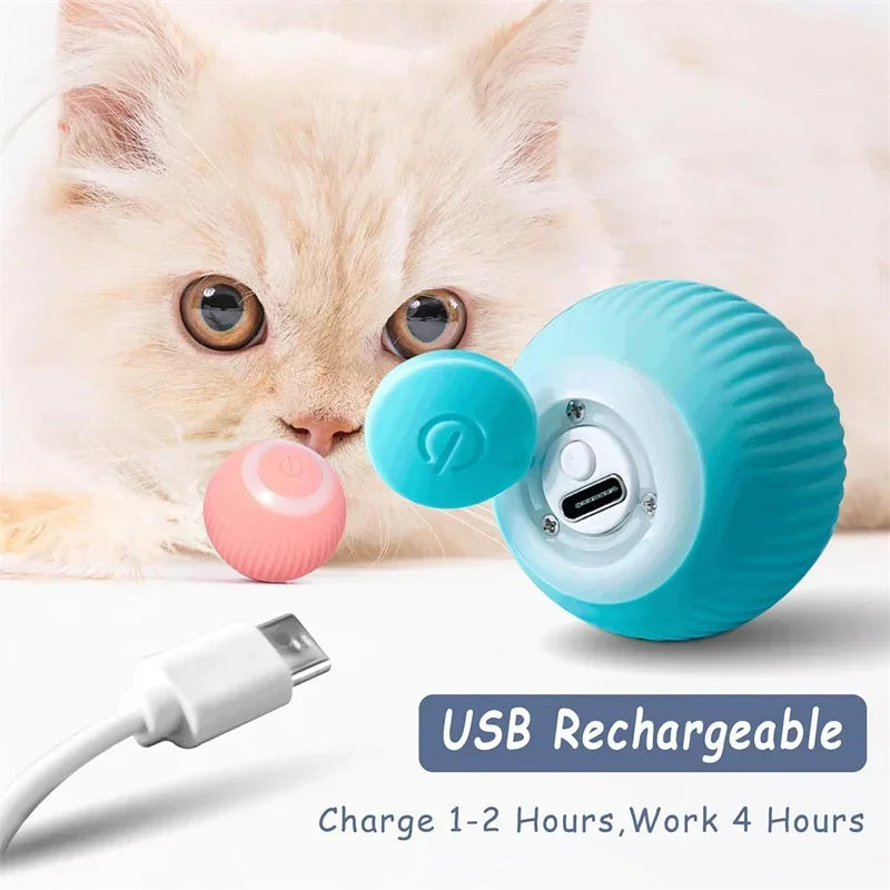 A light blue rolling cat toy ball is shown next to a charging cable, with a fluffy cat in the background.