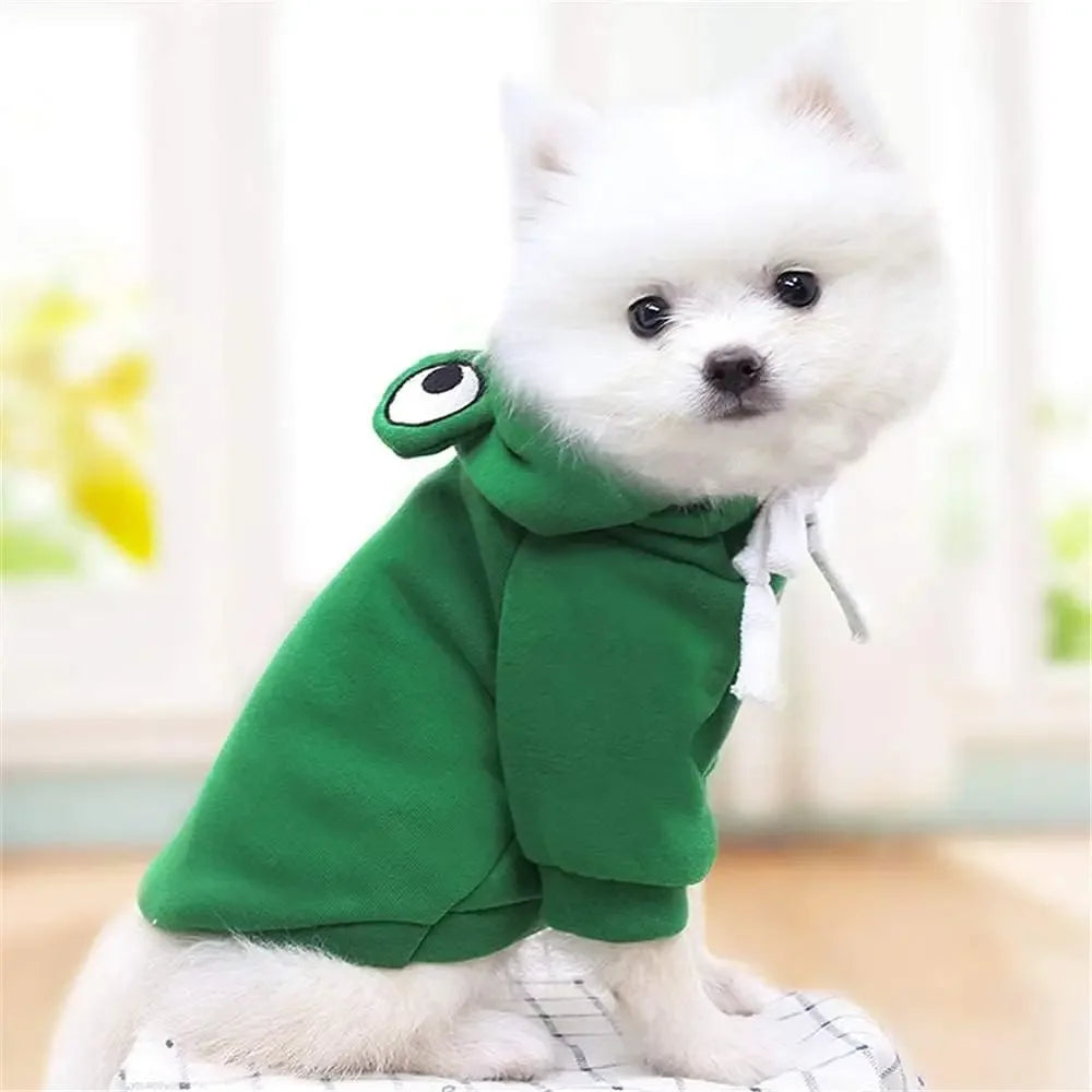 A white dog wearing a green frog-shaped hoodie with a white trim.