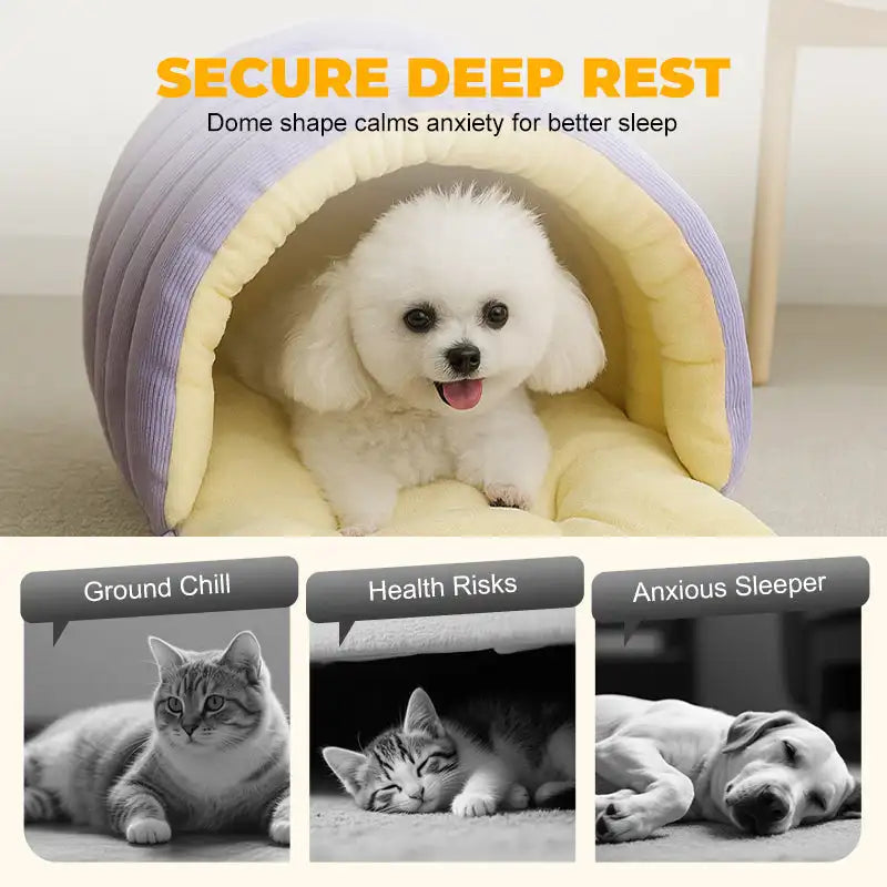 Cozy Thermal Plush Cat Bed with Removable Washable Cover