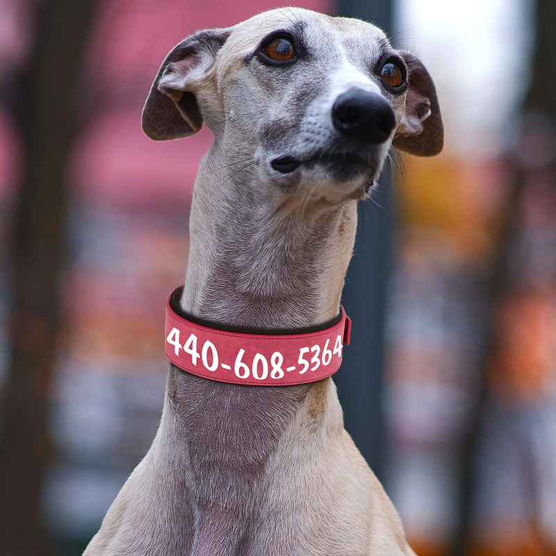 Wide Personalized PU Leather Dog Collar With Custom Name Tag