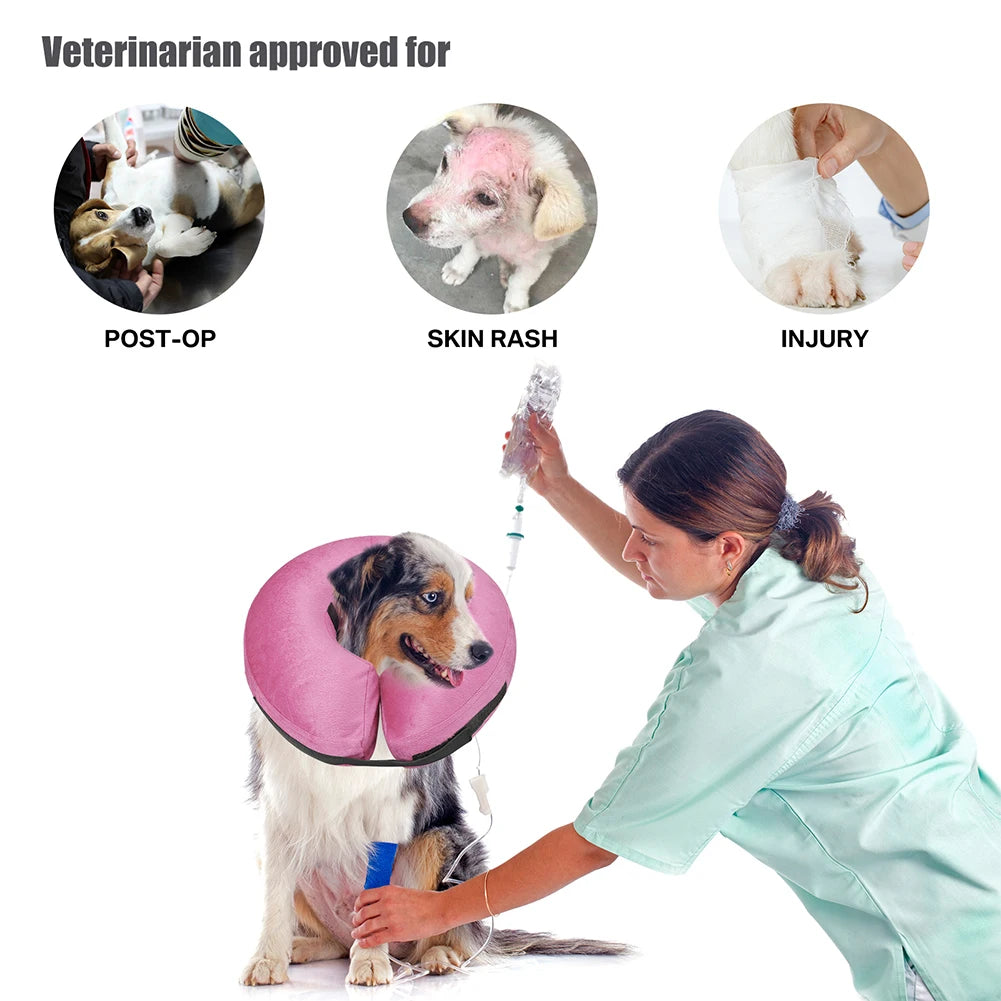 Inflatable Recovery Collar for Dogs and Cats