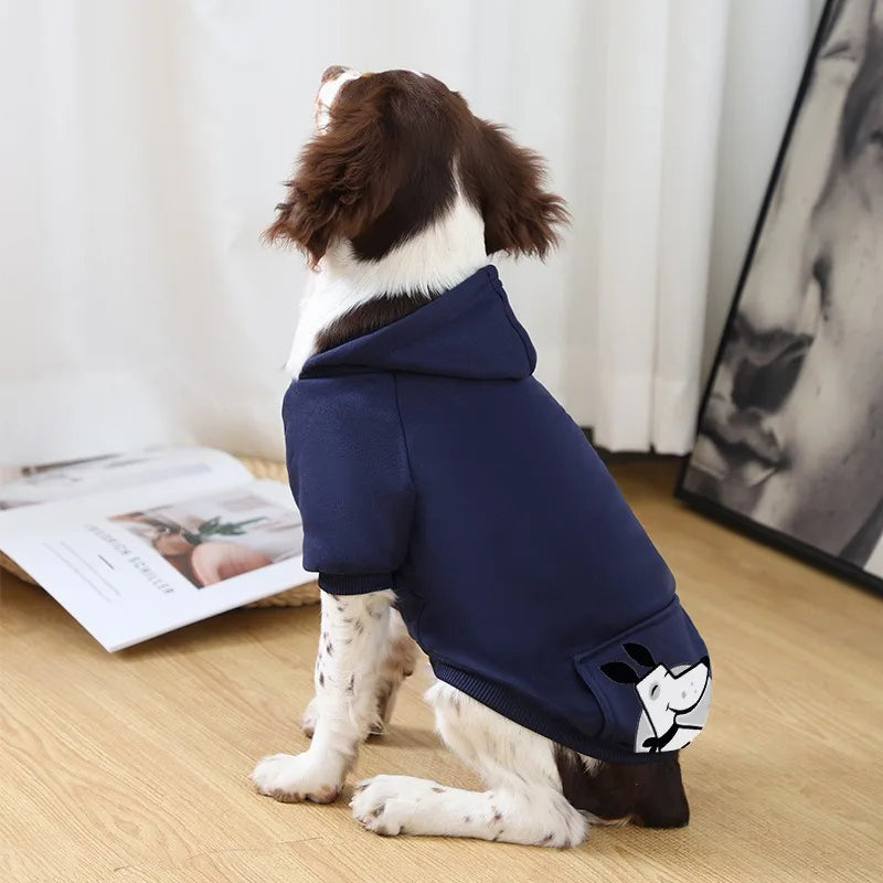 Ein braunes und weißes Hund mit einem dunkelblauen Fleece-Kapuzenpullover.
