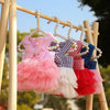 Vestido de Encaje a Rayas para Gatos y Perros