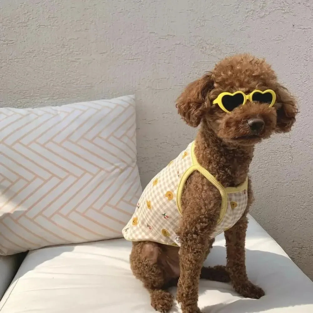 Fashion Pet Sunglasses with Heart-Shaped Jewelry Accents for Dogs & Cats