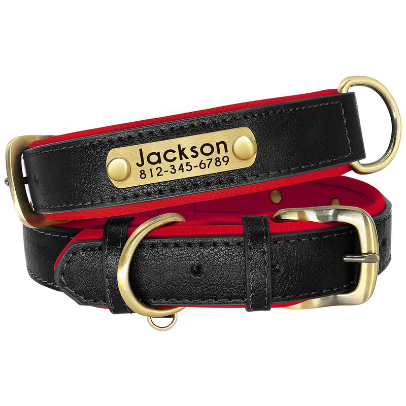 Personalisierte gepolsterte Leder-Hundehalsband mit graviertem Namensschild