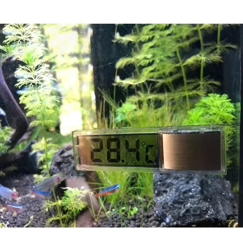 Thermomètre Digital LCD pour Aquarium