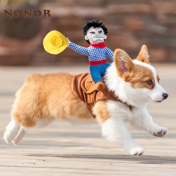 Ein Hund in einer lustigen Cowboy-Jacke und einem gelben Hut rennt auf einem Holzboden.