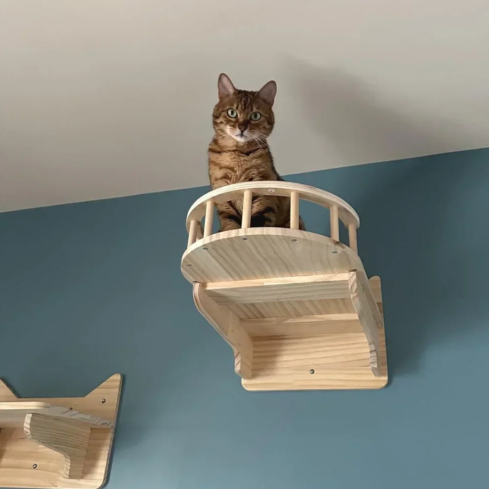 Wall-Mounted Cat Climbing Shelf Set with Hammock and Scratching Posts
