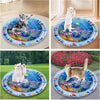 Interactive Water Play Mat for Cats & Small Dogs