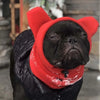 Un pug negro vistiendo un gorro de invierno de fieltro rojo brillante.