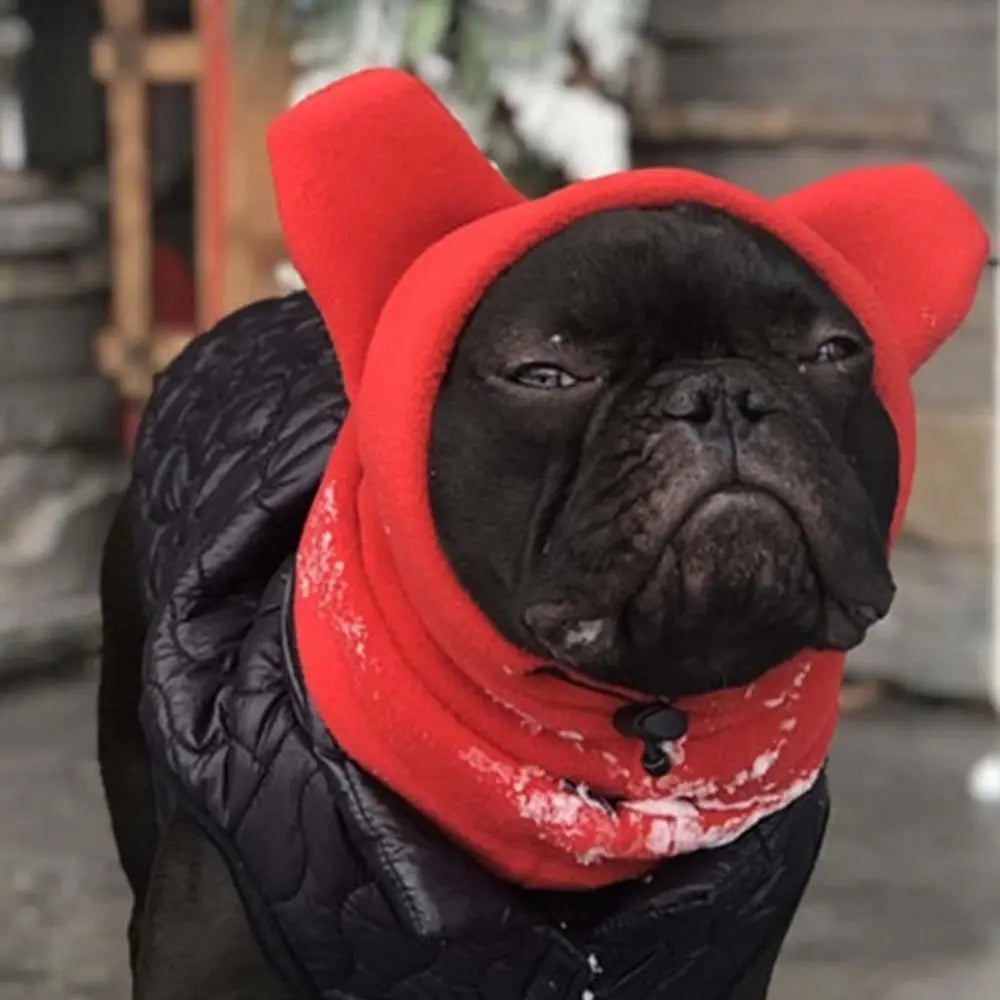 Un pug negro vistiendo un gorro de invierno de fieltro rojo brillante.