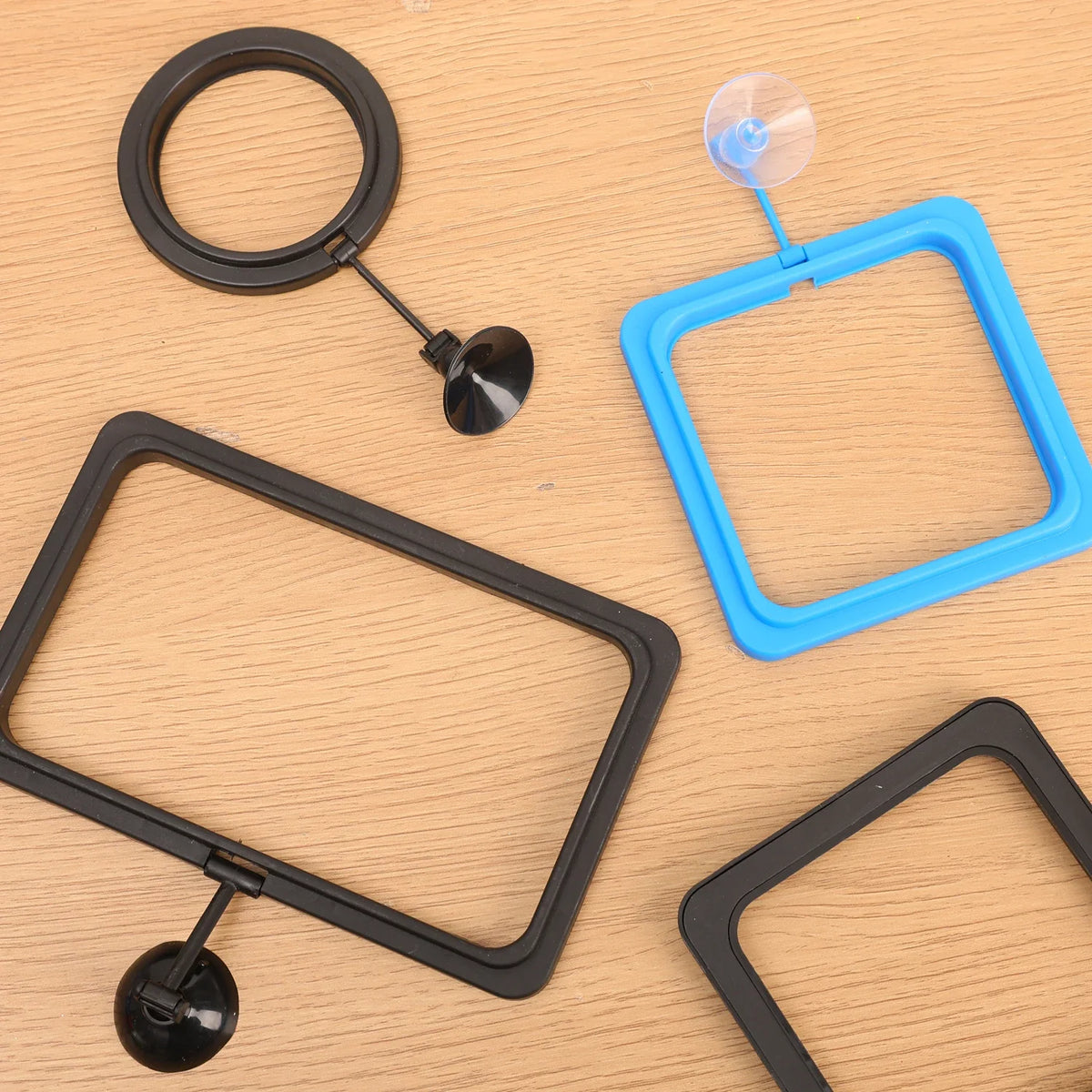Aquarium Floating Fish Feeding Ring with Suction Cup