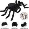 Halloween Spider Costume for Small Dogs and Cats