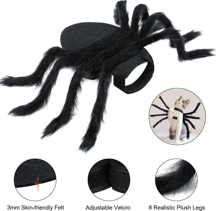 Halloween Spider Costume for Small Dogs and Cats