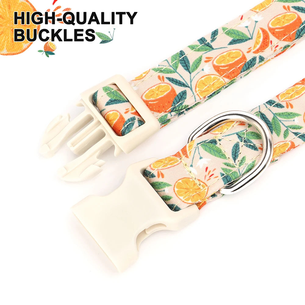 A close-up of a beige nylon dog collar with an orange and green floral print and a silver buckle.