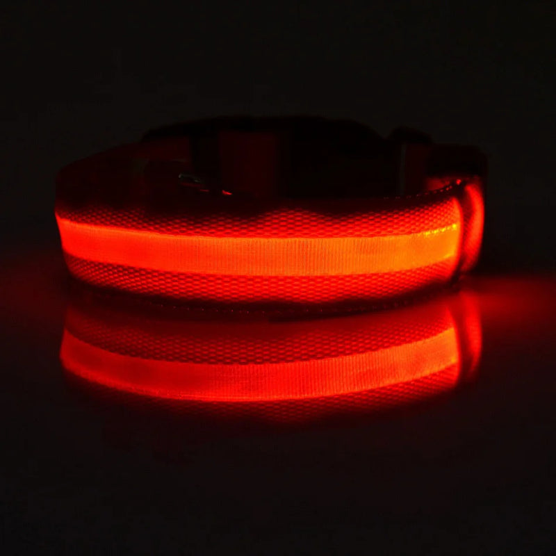 LED-Sicherheits-Hundeleine und Halsband-Set