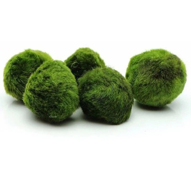 Bola de Musgo Marimo Artificial para Acuario