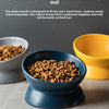 A blue ceramic cat bowl with a raised stand filled with dry pet food on a light surface.