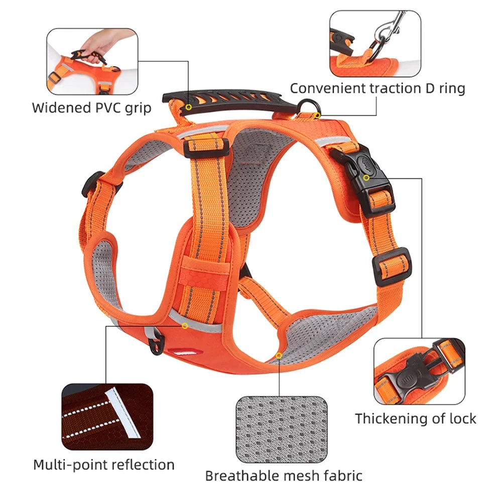 Orange adjustable dog harness featuring a convenient traction D ring, multi-point reflection, and breathable mesh fabric.