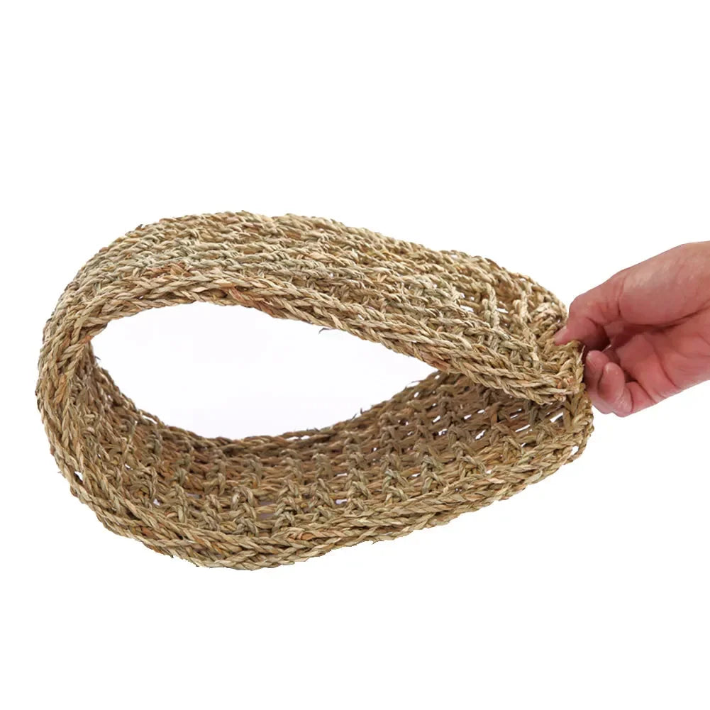 Natural Seaweed Reptile Hammock with Suction Cups