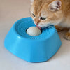 Un gato atigrado naranja interactuando con un plato para perros lento interactivo azul.