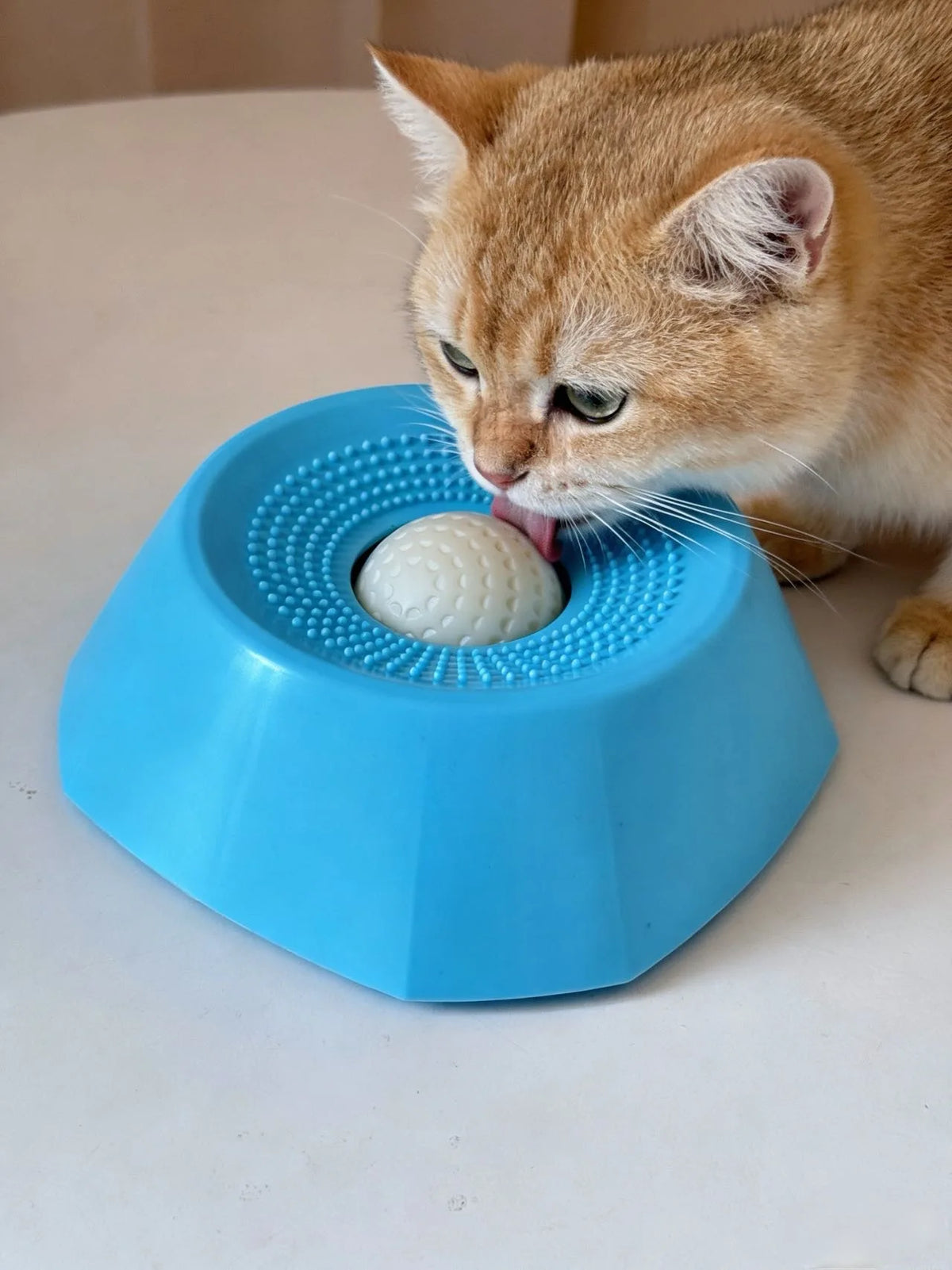 Un gato atigrado naranja interactuando con un plato para perros lento interactivo azul.