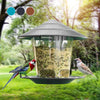 Automatic Bird Feeder with Nut Dispenser for Outdoor Hanging