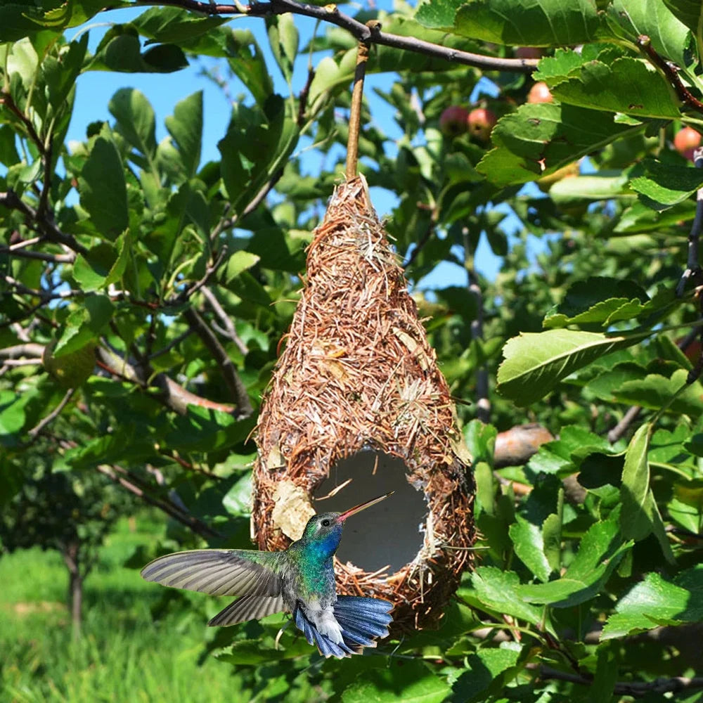 A hand-woven grass bird nest hanging from a tree branch amidst green leaves and blue sky.