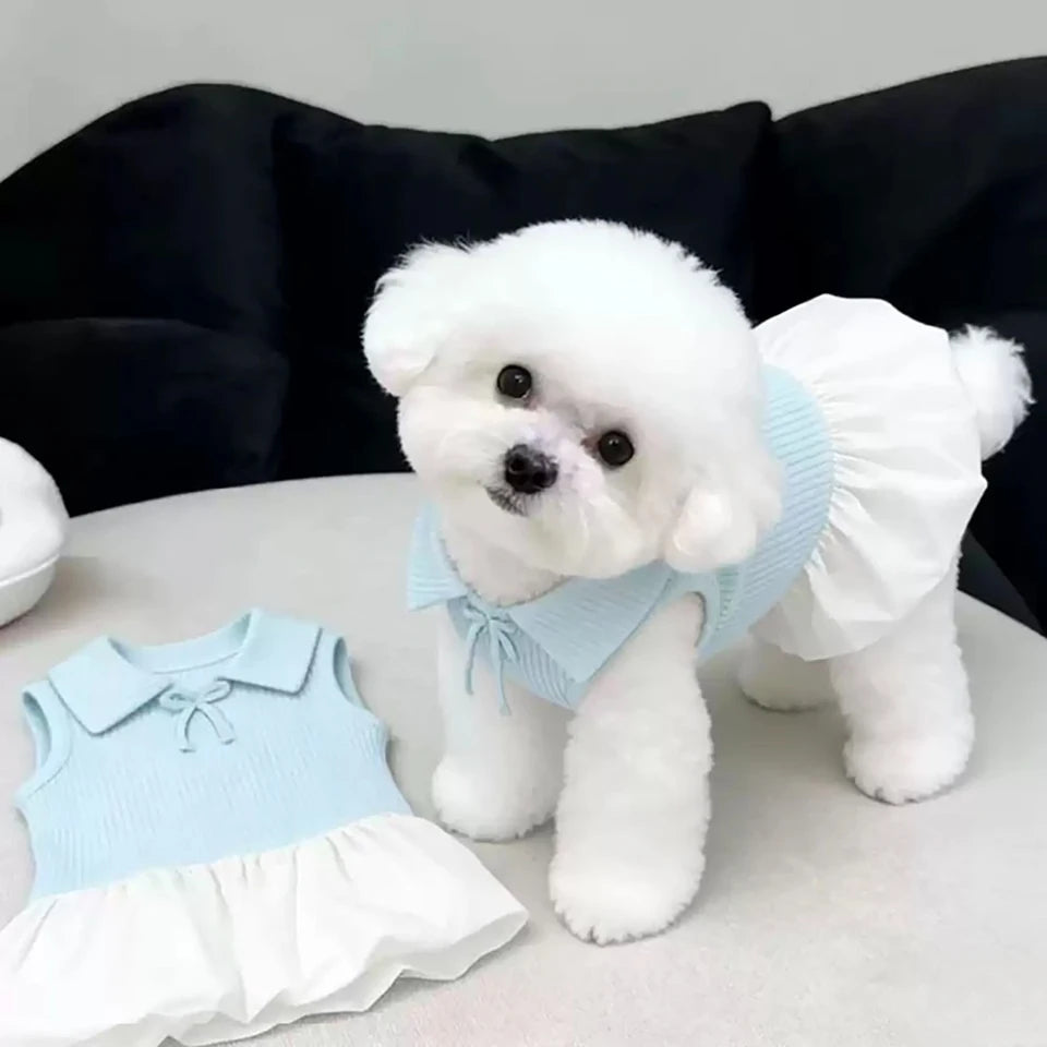 Un perro blanco esponjoso vistiendo un vestido polo de peluche fino azul claro de verano.