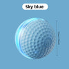 Interactive Automatic Rolling Dog Ball with Motion Activation
