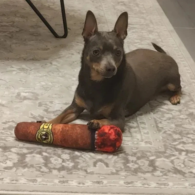 Jouet en Peluche pour Chien en Forme de Cigare