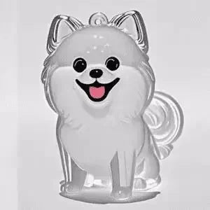 Pet Memorial Hair Keepsake Keychain with Transparent Storage Pendant