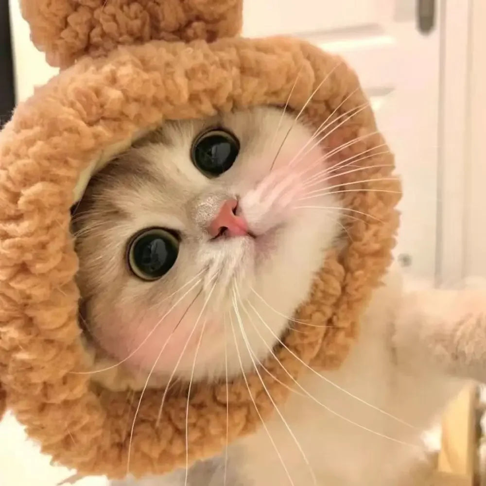 Adorable Knit Bear Hat for Cats and Dogs