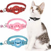 Three brightly colored reflective breakaway cat collars are displayed next to a white cat.