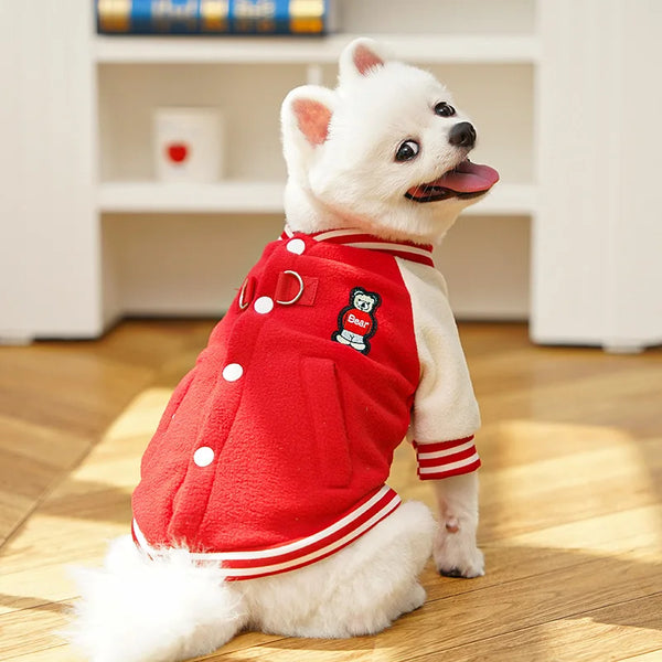 A white dog wearing a red fleece jacket with a black D-ring decoration, sitting on a wooden floor.