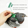 A hand is adjusting a green adjustable parrot harness on a dove.