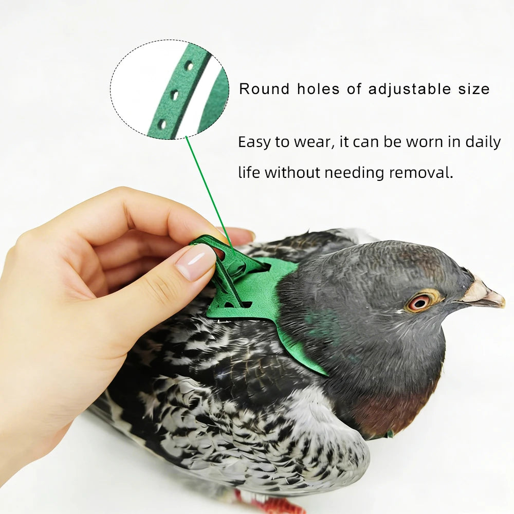 A hand is adjusting a green adjustable parrot harness on a dove.