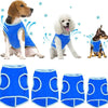 Evaporative Cooling Vest for Dogs – Lightweight & Breathable